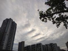 -重庆彩云湖湿地公园
