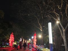 -永安龟山公园