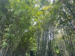 -望江楼公园