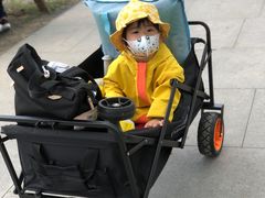 -永定河休闲森林公园