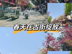 -大理文庙(大理古城)
