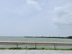 -瑶湖郊野森林公园