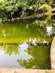 -莲生母婴月子中心(清水河公园店)