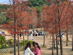 -牛岗山公园
