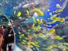 -海合安成都极地海洋公园