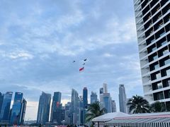 -新加坡文华东方酒店