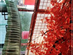 -八次方巴乡石锅鱼·金海湖水库活鱼(谷丰东路店)