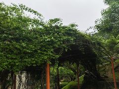 -天鹿湖森林公园