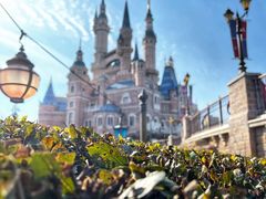 -上海迪士尼度假区