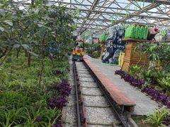 -南宫五洲植物乐园