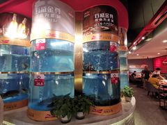 -蜀滋香鲜鱼美蛙火锅(339店)