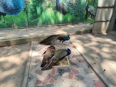 -荆州中山公园动物园