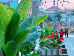 -青岛方特梦幻王国