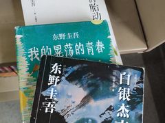 -天津图书馆(复康路馆)