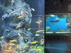 -福州罗源湾海洋世界旅游区