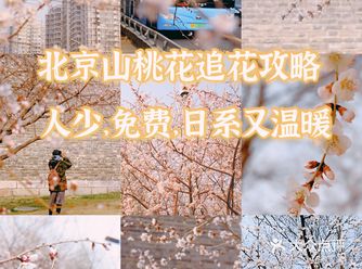 北京山桃花追花攻略小众免费景点，日系很温暖