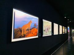 -罗红摄影艺术馆