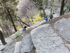 -北京鹫峰国家森林公园