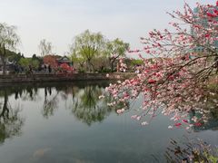 -无锡蠡湖国家湿地公园-蠡园