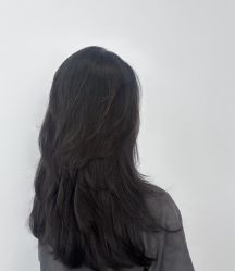 -YESIDO椰岛造型