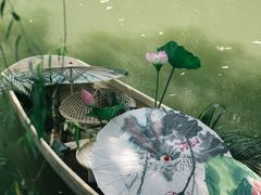 -同里国家湿地公园