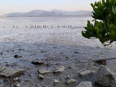 -深圳湾公园(南山区)