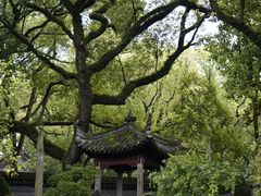 -天一阁博物院