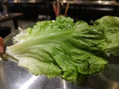 生菜-阪尚皇·原切牛排·烤肉火锅自助(北京路店)