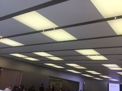 -Apple零售店(深圳益田假日广场店)