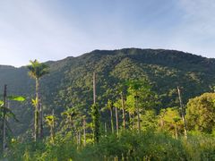 -海南热带雨林国家公园吊罗山景区