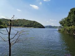 -天目湖山水园