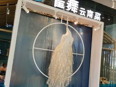 -雀舞云南菜(乐客城店)