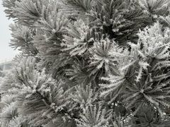 -兴芮温泉度假区