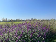 -汉长安城未央宫国家考古遗址公园