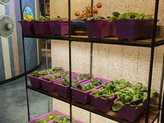 -番食园鲜食火锅(高新店)