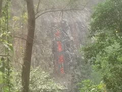 -水濂山森林公园