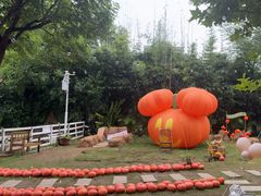 -HERRE·FARM 赫尔露营农场·团建聚会包场