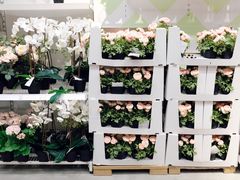 -宜家家居(西安未央商场店)