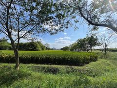 -良渚古城遗址公园