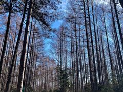 -长春净月潭风景名胜区