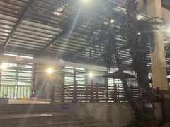 -南宫温泉水世界