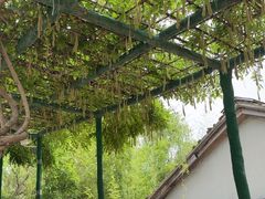 -沂蒙云瀑洞天景区