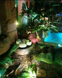 -恐龙探索乐园(磁器口店)