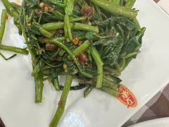 -文东记(马里士他路)