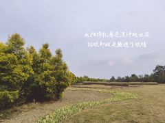 -白鹭湾湿地公园