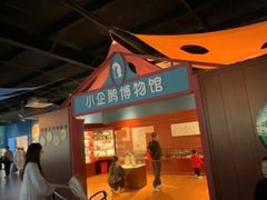 -海合安武汉极地海洋公园