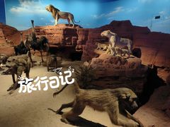 -重庆自然博物馆(新馆)