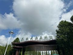 -黄海国家森林公园