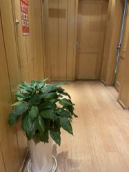 -重庆星宸整形美容医院