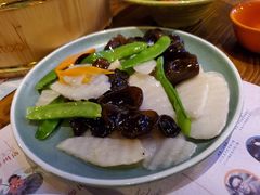 -梦田音乐miniLIVE(漳州店)